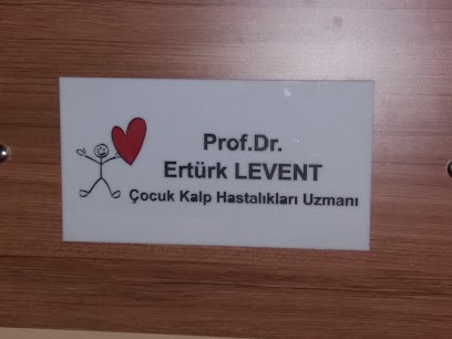 Prof.dr.ertürk Levent