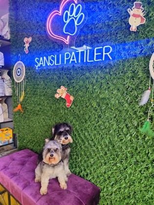 Şanslı Patiler Pet Salon