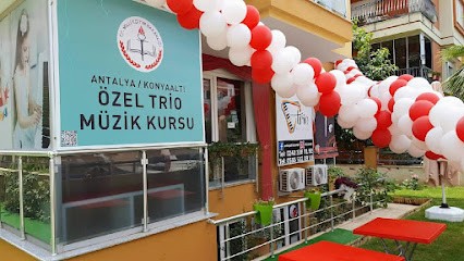 T.c. Meb Özel Trio Müzik Kursu