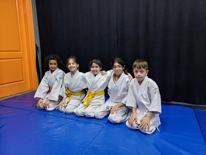 Pedagojik Çocuk Aikido