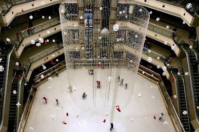 Kaykay Tekerlekli Paten Pisti