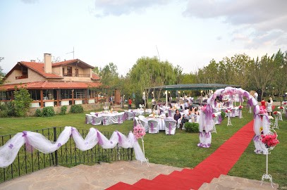Hayal Bahçesi