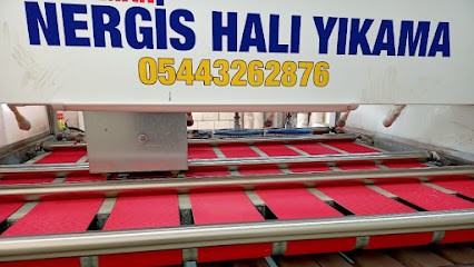 Adıyaman Nergis Halı Ve Koltuk Yıkama