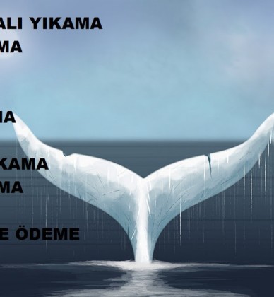 Berrak Halı Yıkama