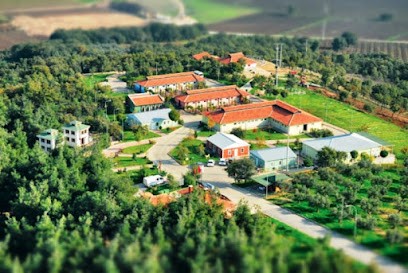 Osmangazi Belediyesi Sahipsiz Hayvanlar Doğal Yaşam Merkezi