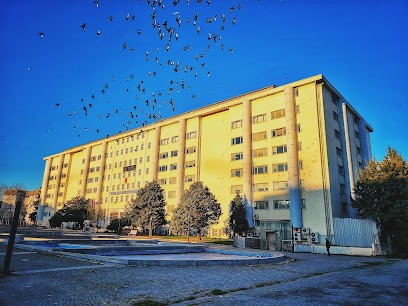 Bursa Vergi Dairesi Başkanlığı