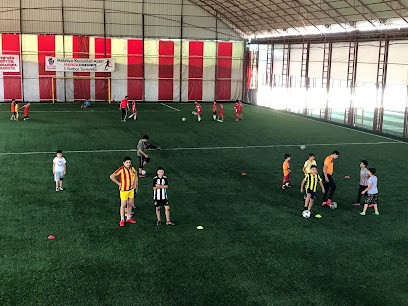 Ayışığı Kapalı Halı Saha