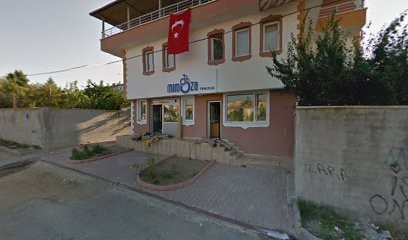 Mimoza Halı Yıkama