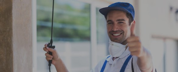 Pest Life Böcek İlaç Ve İlaçlama