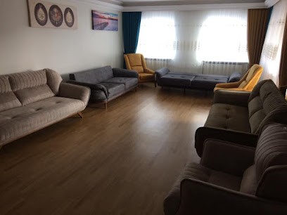 Balıkesir Mavi Halı Koltuk Stor Perde Yıkama