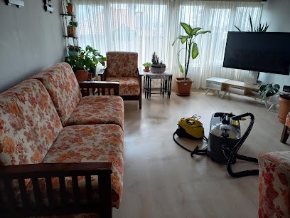Adapazarı Kayı Koltuk Yıkama - Yerinde Koltuk, Yatak, Sandalye,Halı Yıkama)