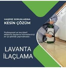 Lavanta İlaçlama (Hakkari Böcek İlaçlama)