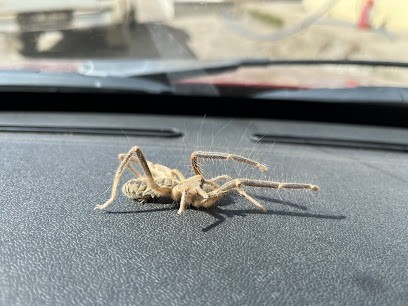 Bio Koruma İlaçlama Ve Dezenfekte