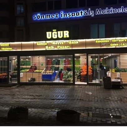 Uğur Sebze Meyve Halk Pazarı Tosya Yolu