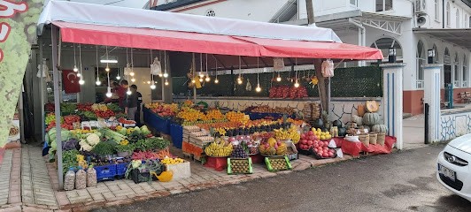 Yeşilyurt Mh. Fevzi Paşa Cd, 17 Ağustos, Fay Hattı Bulvarı No:4, 41190 Başiskele/Kocaeli