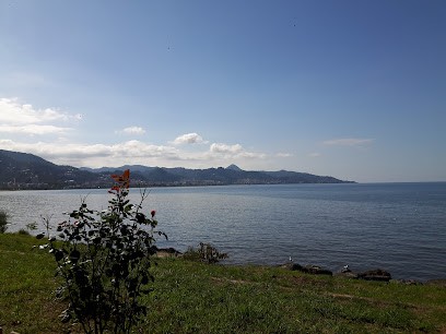 Ayvasıl Liman Düğün Salonu