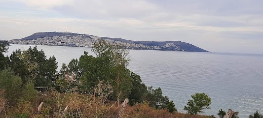 Taşmahal Duğun Salonlu