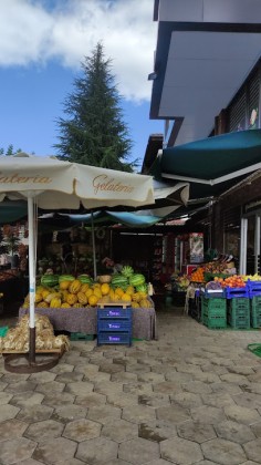 Tazem Mini Hal Manav