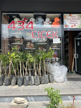 434 Çiçekçilik
