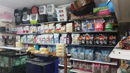 Ada Petshop Toptan Perakende
