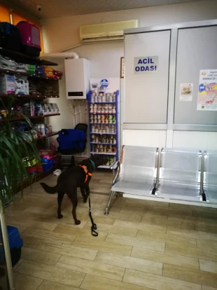 Adana Denizpet Veteriner Kliniği/Yeşilyurt/Baraj Yolu