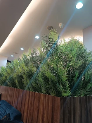 Adana Masaj Salonu Adios Spa Masöz Hamam Sauna