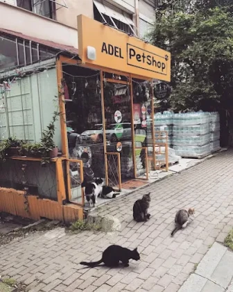 Adel Pet Shop