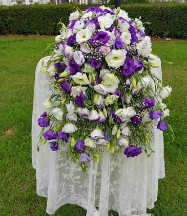 Adıyaman Düğün Organizasyon Sünnet Salonu