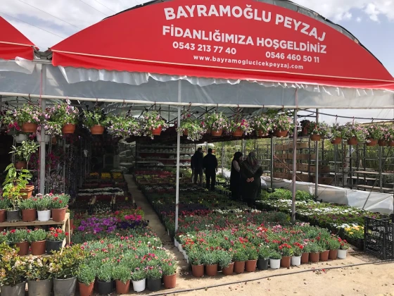 Afyon Peyzaj - Bayramoğlu Peyzaj