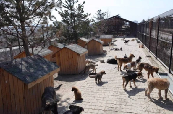 Afyonkarahisar Belediyesi Hayvan Barınağı