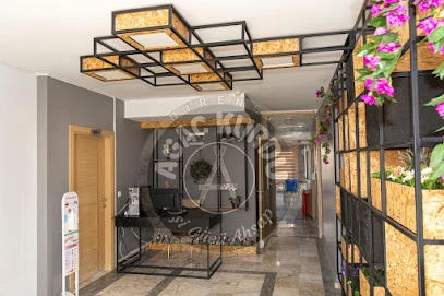 Ağaç Kurdu İşi Gücü Ahşap