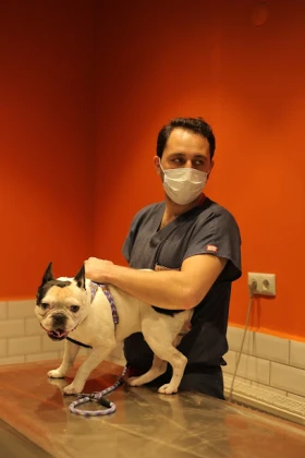 Akademi Hayvan Hastanesi | Atakum Samsun Veteriner