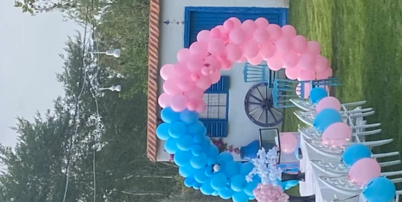 Aksaray Masal Organizasyon