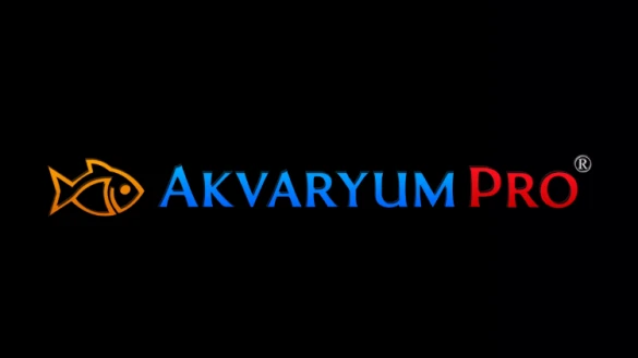 Akvaryum Pro