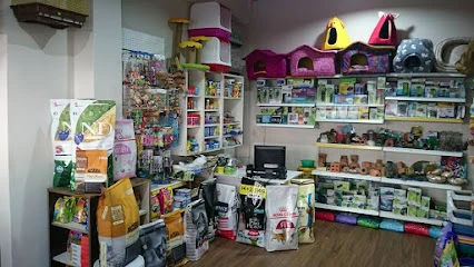 Akvaryuss Pet Shop
