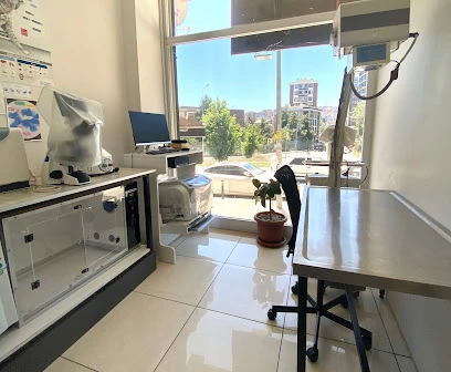 Alibeyköy Veteriner Kliniği