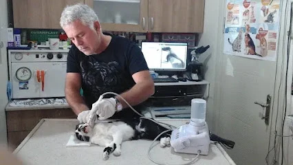 Alın Pet Veteriner Kliniği