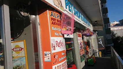 Alpemir Pet Shop Akvaryum