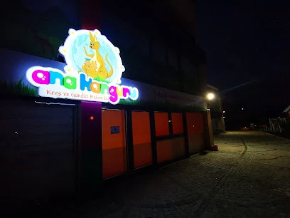 Ana Kanguru Kreş Ve Gündüz Bakımevi
