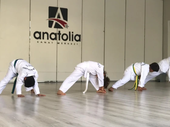 Anatolia Sanat Merkezi