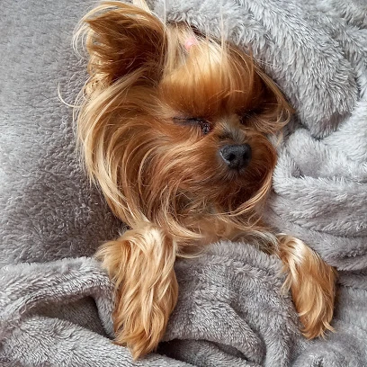 Animal Home Veteriner Klınığı