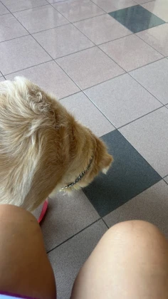 Animaris Veteriner Kliniği