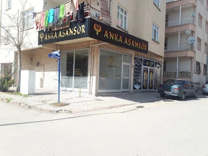 Anka Asansör
