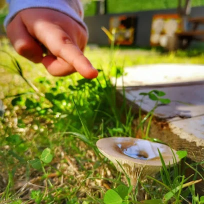 Ant Çocuk Akademi Adana Anaokulu Ve Kreş