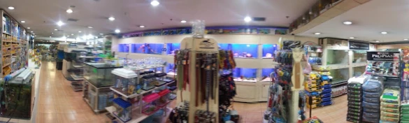 Antares Egece Petshop