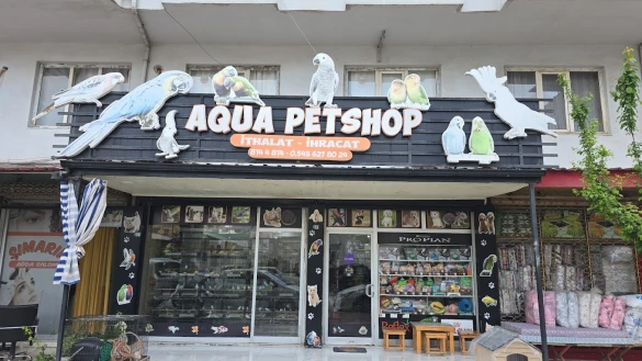 Aqua Petshop