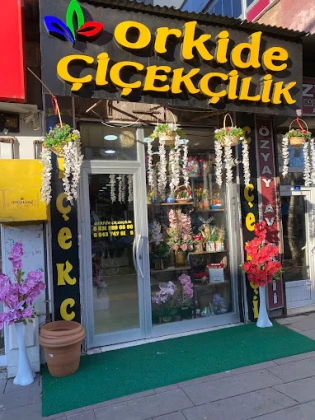 Ardahan Çiçekçilik Orkide