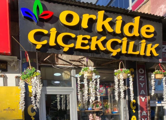 Ardahan Çiçekçilik Orkide