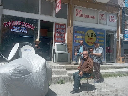 Arı Elektronik
