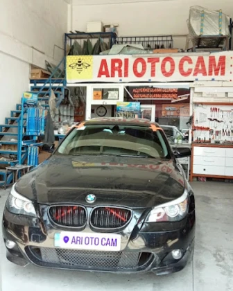 Arı Oto Cam